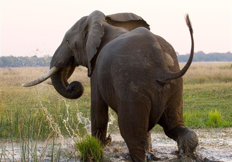 Expedice jižní Afrikou: Jihoafrická republika, Namibie, Botswana a Zimbabwe